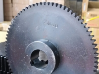 Tooth-Count Design for Thin Spur Gears