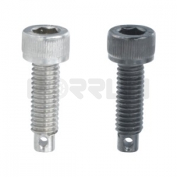 Extension Spring Stud – Hex Socket Type price, quotations, parameters, images